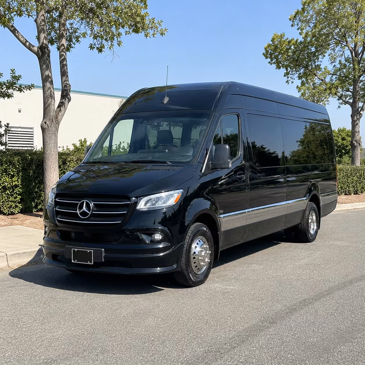 sprinter limousine